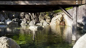Niseko Annupuri Onsen Yugokorotei 호텔