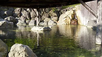 Niseko Annupuri Onsen Yugokorotei 호텔 3*,  일본