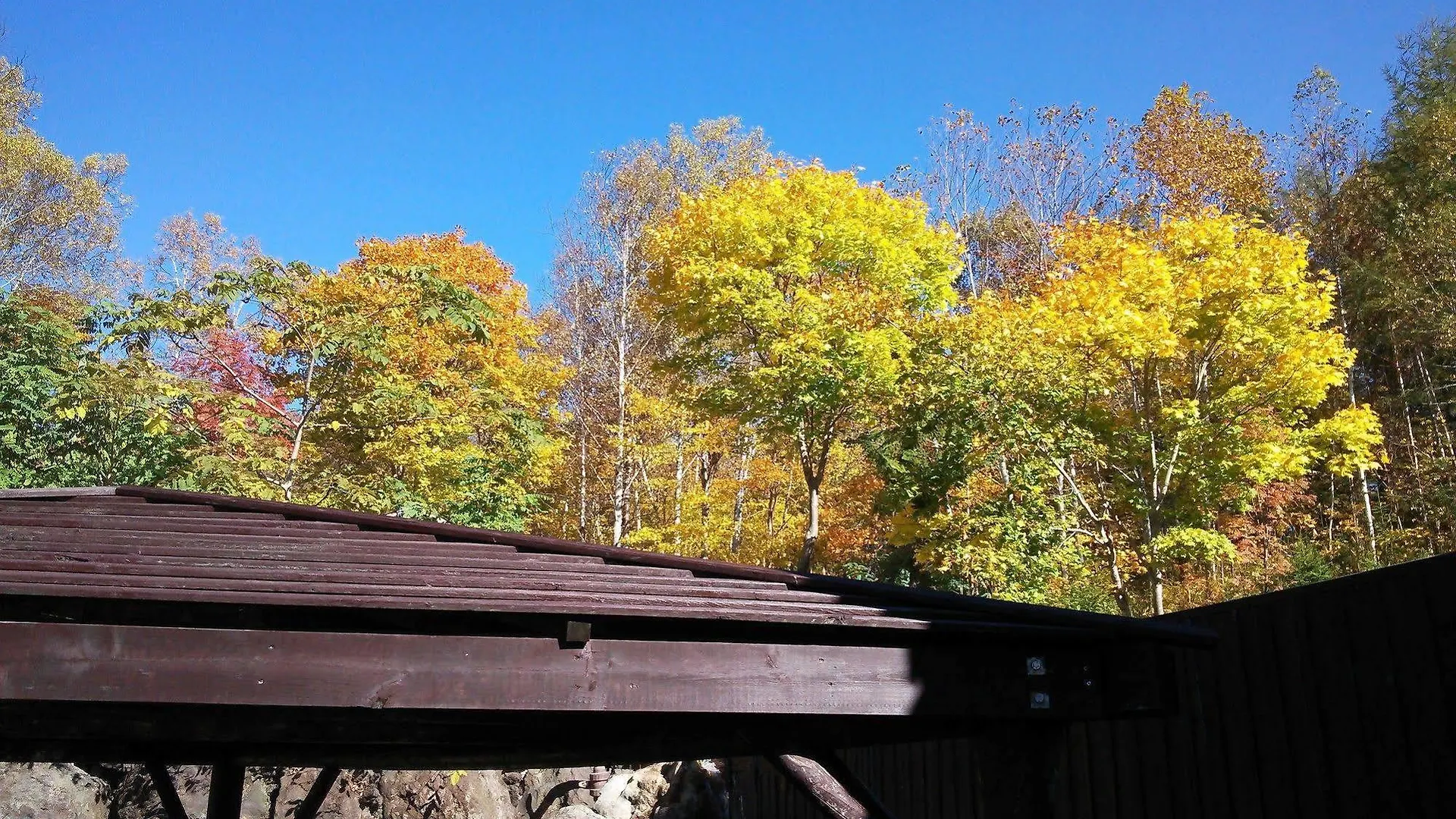 Niseko Annupuri Onsen Yugokorotei 호텔 3*,  일본