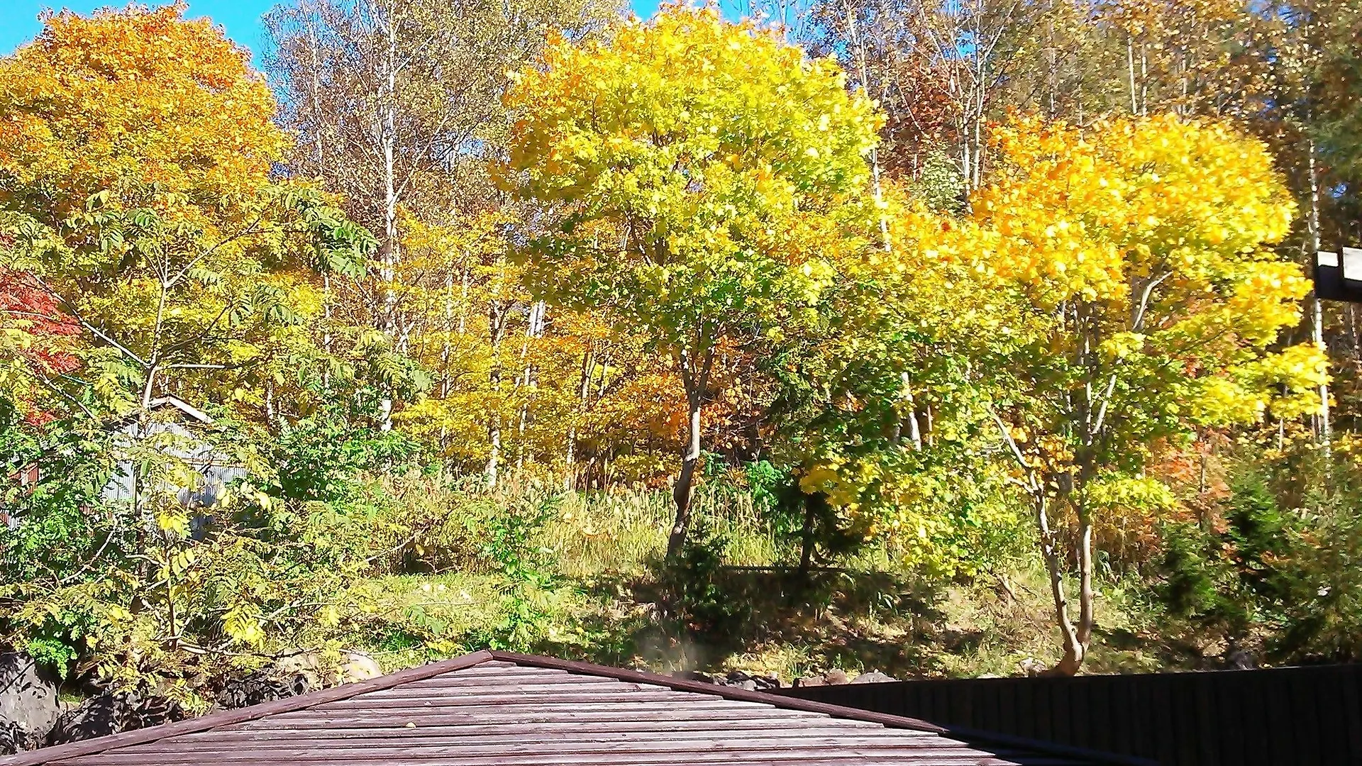 Niseko Annupuri Onsen Yugokorotei 호텔